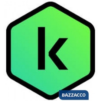 KASPERSKY STANDARD 1DEV 1Y...