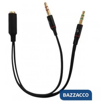LINK ADATTATORE AUDIO...